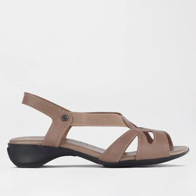 Elasticated Cut-out Sandal in Stone - 11519