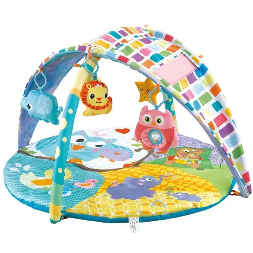 Lucky Baby 2 In 1 Sky Canopy Playgym