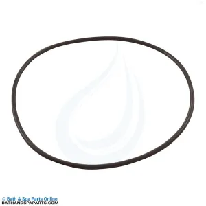 Speck ACF Cartridge Filter Lid O-Ring (7200055003)